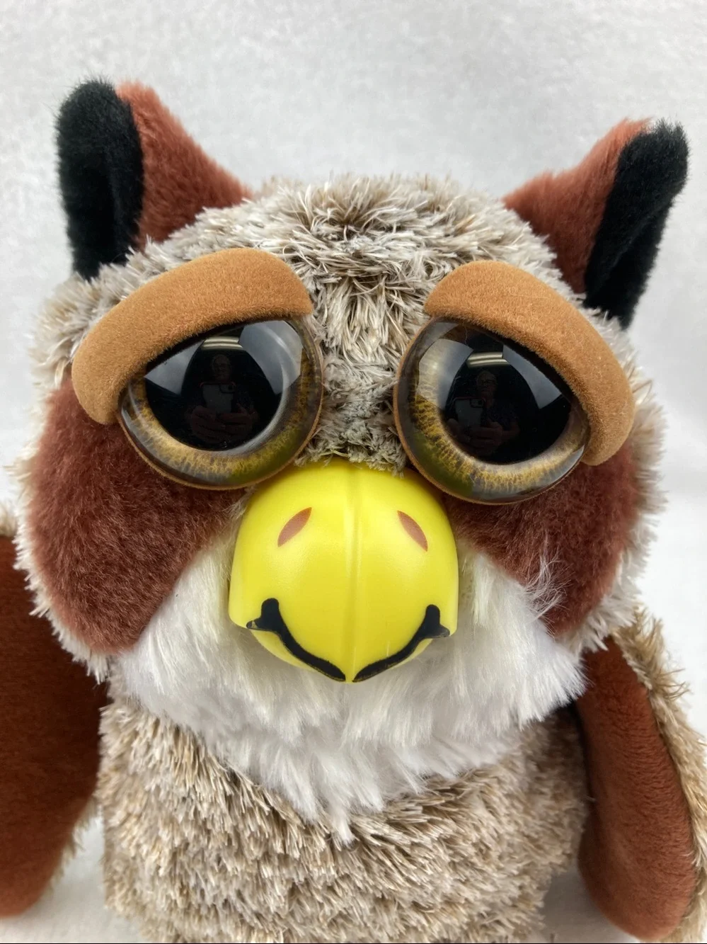 FEISTY PETS DASTARDLY DANIEL™️ THE GREAT HORNED OWL